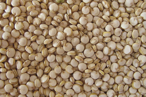 Quinoa